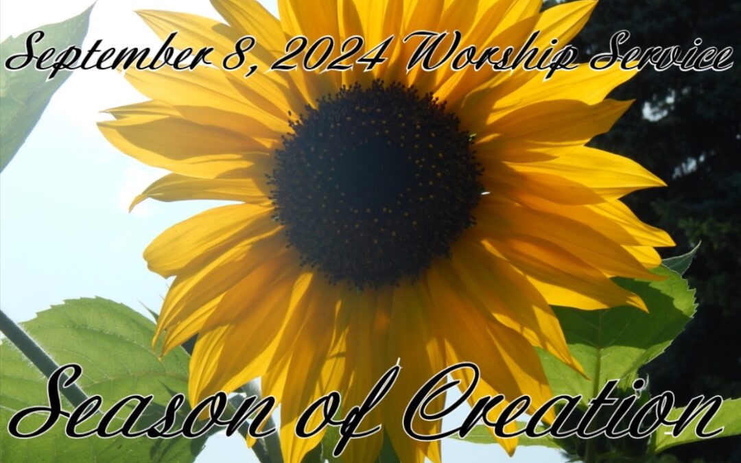 Sept. 08, 2024