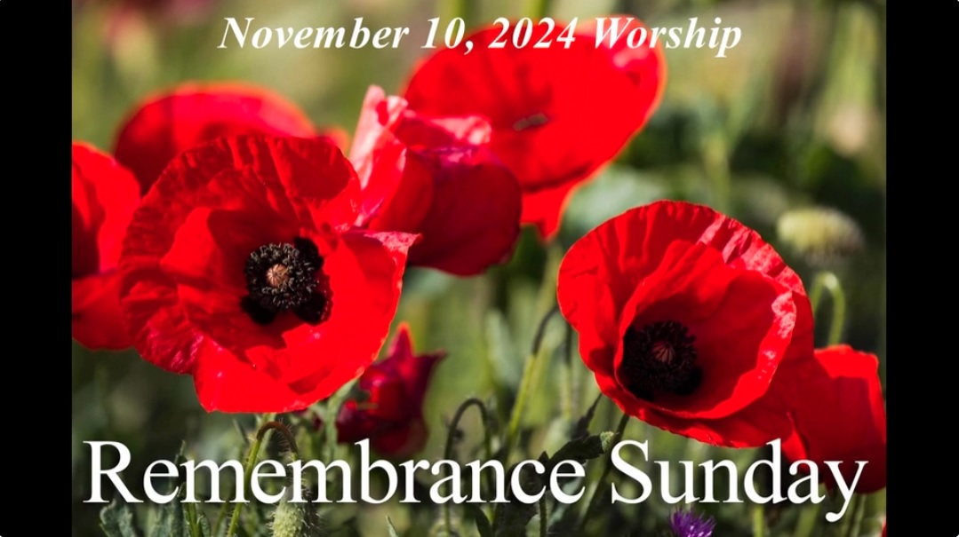 Nov. 10, 2024